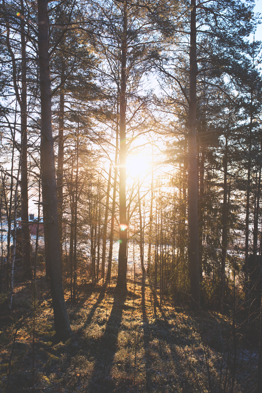 hääkuvaaja,rovaniemi,bröllopsfotograf,weddingphotographer,malmö