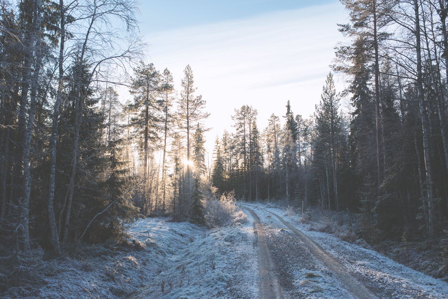 hääkuvaaja,rovaniemi,bröllopsfotograf,weddingphotographer,malmö