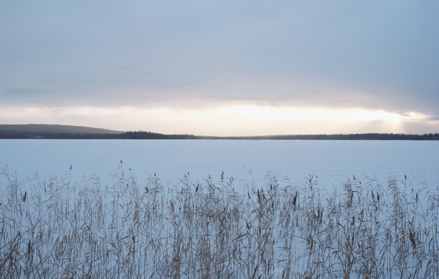 hääkuvaaja,rovaniemi,bröllopsfotograf,weddingphotographer,malmö