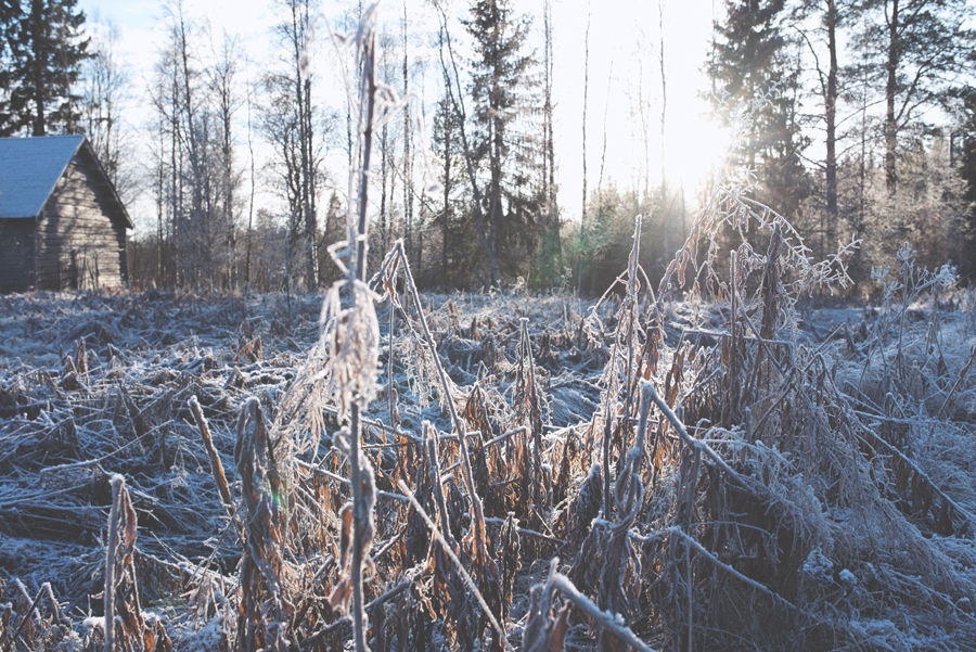 hääkuvaaja,rovaniemi,bröllopsfotograf,weddingphotographer,malmö