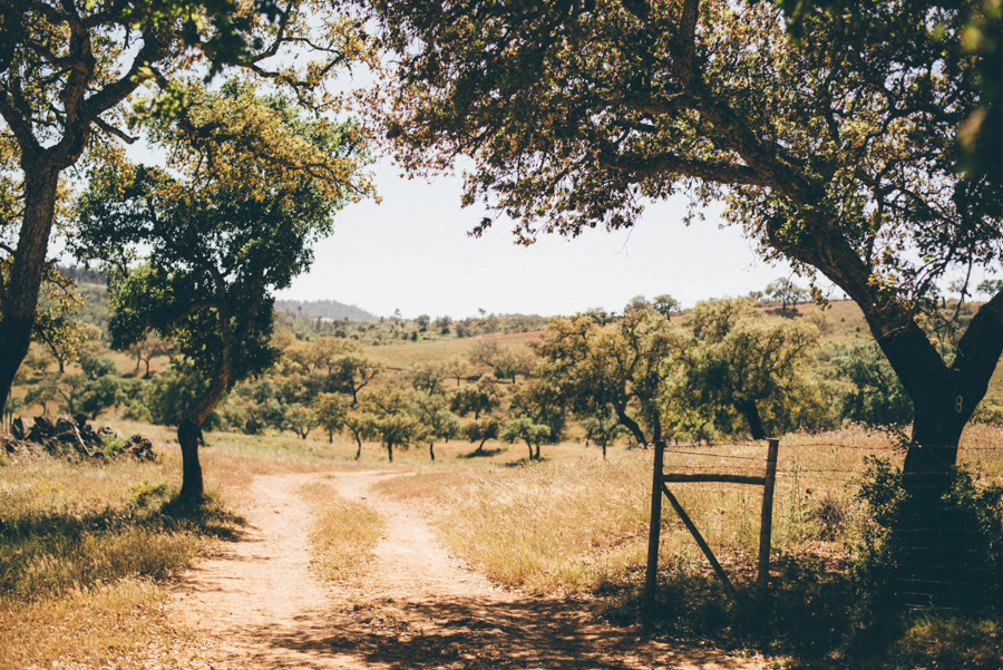 lifestylephotographer,portugal,travelphotographer,weddingphotographer,bröllopsfotograf,malmö,lisbon,lisboa