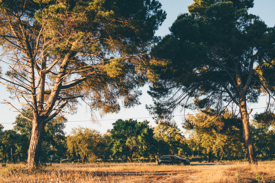 lifestylephotographer,portugal,travelphotographer,weddingphotographer,bröllopsfotograf,malmö,lisbon,lisboa