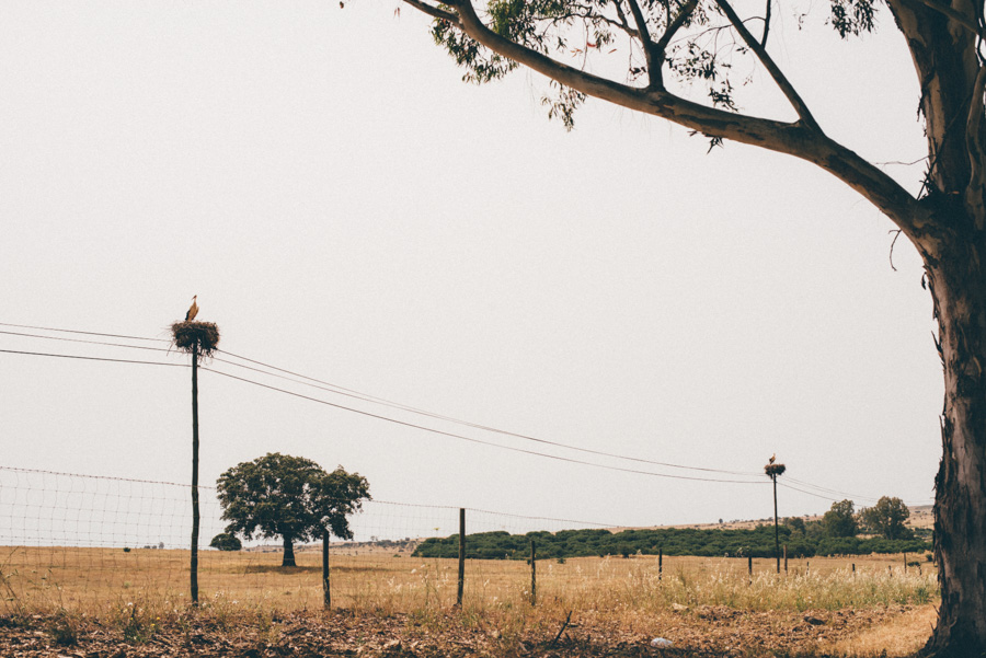 lifestylephotographer,portugal,travelphotographer,weddingphotographer,bröllopsfotograf,malmö,lisbon,lisboa