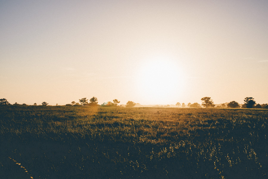 lifestylephotographer,portugal,travelphotographer,weddingphotographer,bröllopsfotograf,malmö,lisbon,lisboa