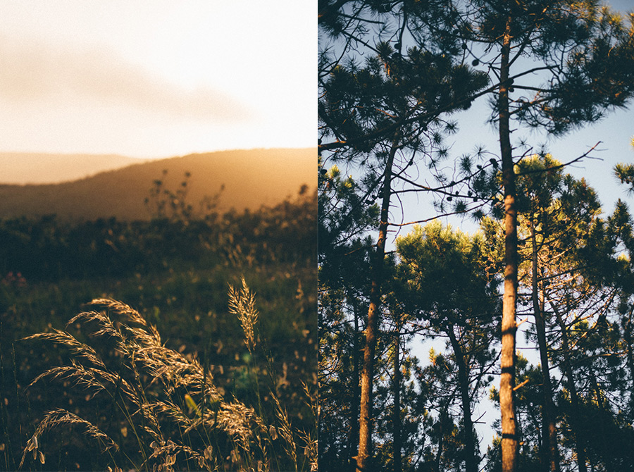 lifestylephotographer,portugal,travelphotographer,weddingphotographer,bröllopsfotograf,malmö,lisbon,lisboa