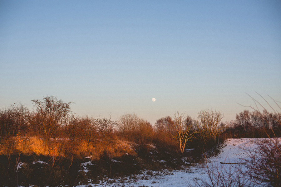 brollopsfotografskane_annamarialiljestrand074