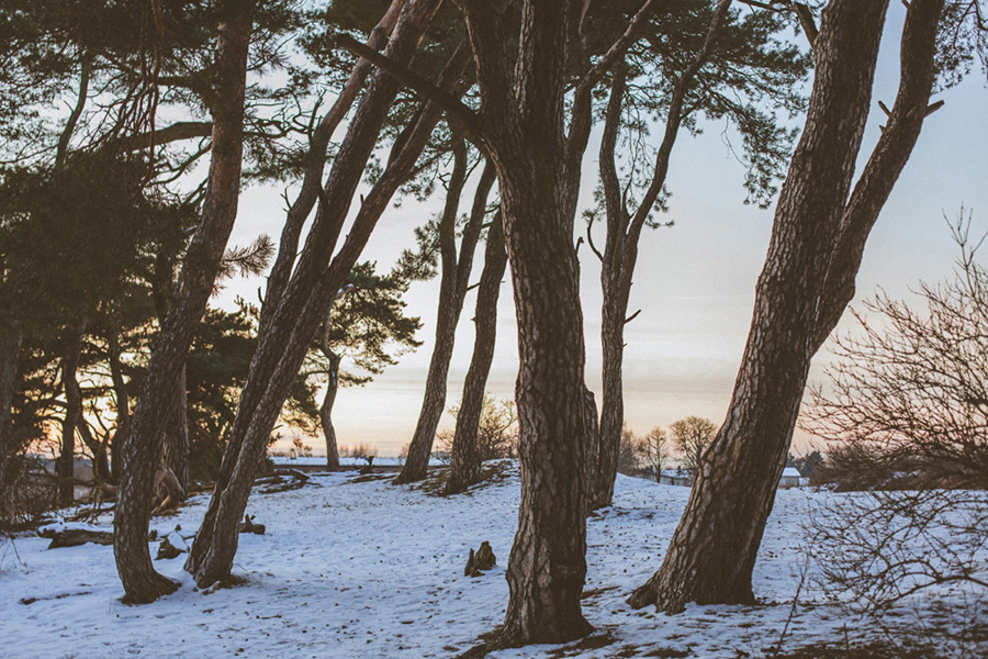 brollopsfotografskane_annamarialiljestrand094