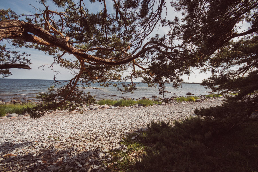 bröllopsfotograf,gotland,resefotograf,naturfotograf,weddingphotographer,lifestylephotography,fårö