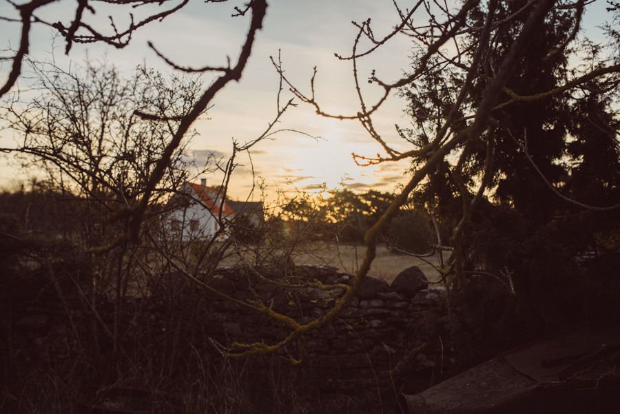 slow,train,bedandbreakfast,bröllopsfotograf,gotland,slowtrain,b&b,resefotograf,naturfotograf,weddingphotographer,lifestylephotography,fårö