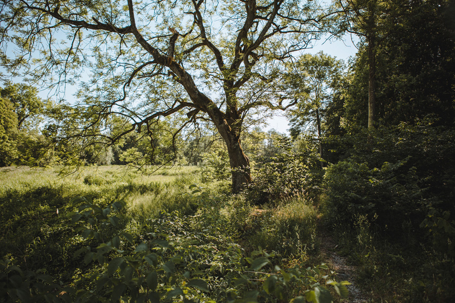 bröllopsfotograf,ellinge,slott,skåne,malmö,eslöv,scandinavia,weddingphotographer,clean,saga,bröllop,bryllup