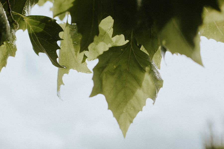 bröllopsfotograf,skåne,malmö,bryllupsfotograf,bryllup,bröllop,lantligt,trädgård,weddingphotographer,scandinavia,boho,bohemian